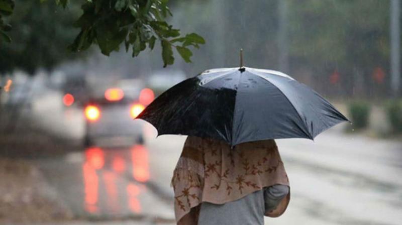 Punjab haryana chandigarh Weather Update News in punjabi Punjab haryana chandigarh Weather Update News in punjabi