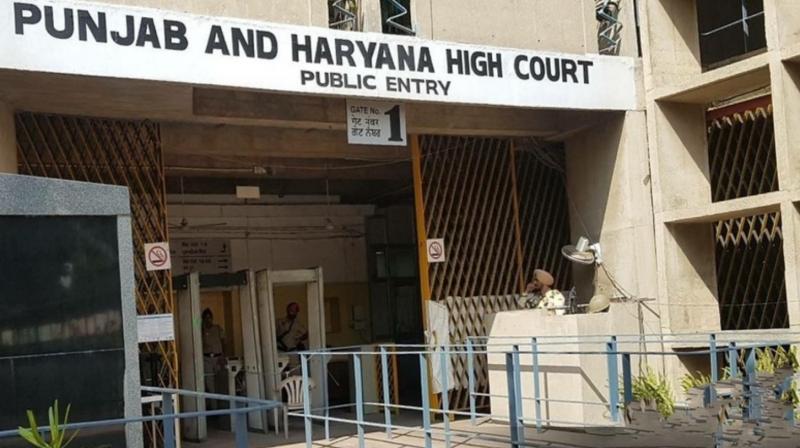 All employees appointed before 2004 entitled to old pension Punjab Haryana High Court news in punjabi All employees appointed before 2004 entitled to old pension Punjab Haryana High Court news in punjabi