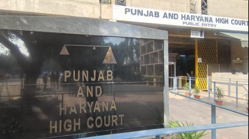 The court allowed a girl to have an abortion at 12 weeks Chandigarh News in punjabi The court allowed a girl to have an abortion at 12 weeks Chandigarh News in punjabi