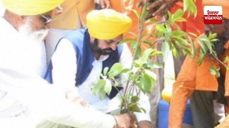 Mann government's Greening Punjab Mission: Punjab becomes a green zone with the planting of a record 12,55,700 trees