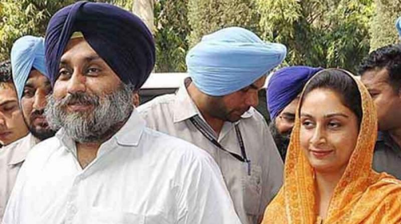 badal couple will be seen together first time