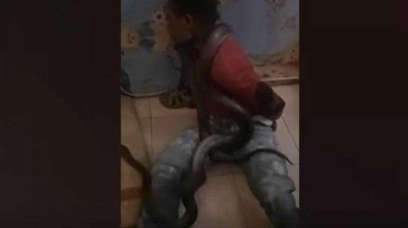 Police use snake to scare man Police use snake to scare man