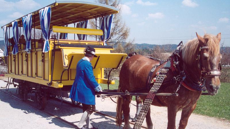 Horse Train