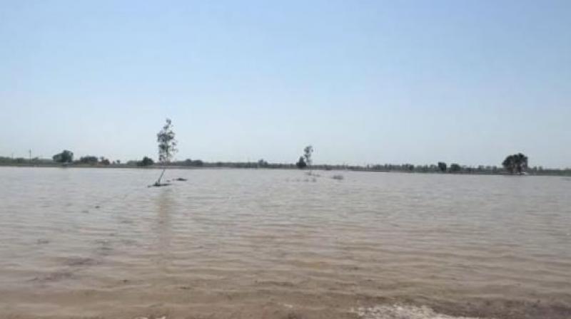 Sutlej river overflow Sutlej river overflow