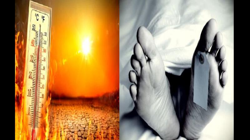 Heatwave in Delhi Heatwave in Delhi