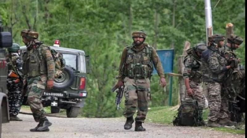 terrorists killed terrorists killed
