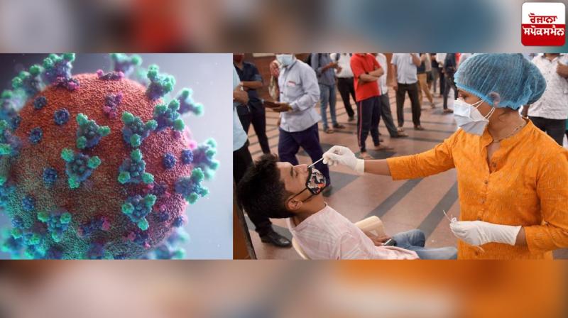 COVID 19 Cases Rising in India News in punjabi COVID 19 Cases Rising in India News in punjabi