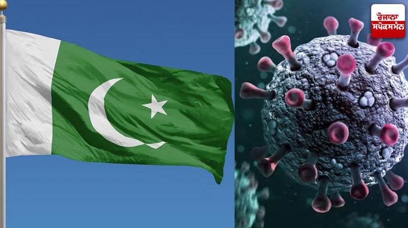Pakistan Corona Cases News in punjabi Pakistan Corona Cases News in punjabi