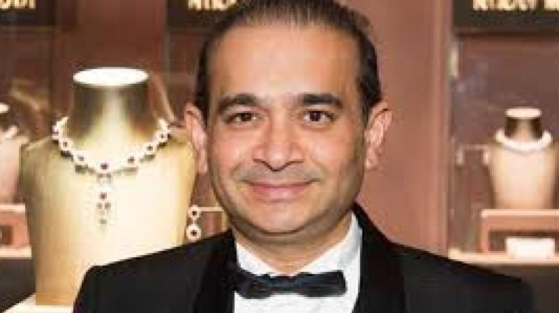 Nirav modi