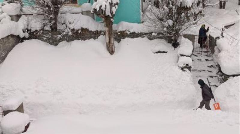 Heavy snowfall in Himachal Pradesh, 176 roads closed