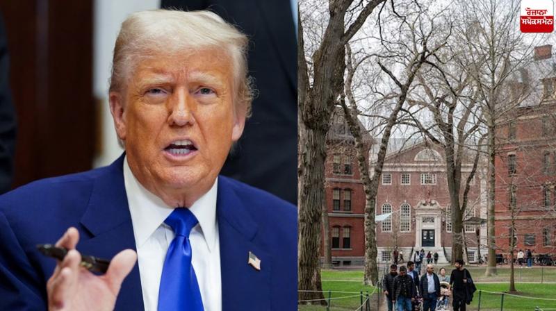 Harvard University bans admission of foreign students News Harvard University bans admission of foreign students News