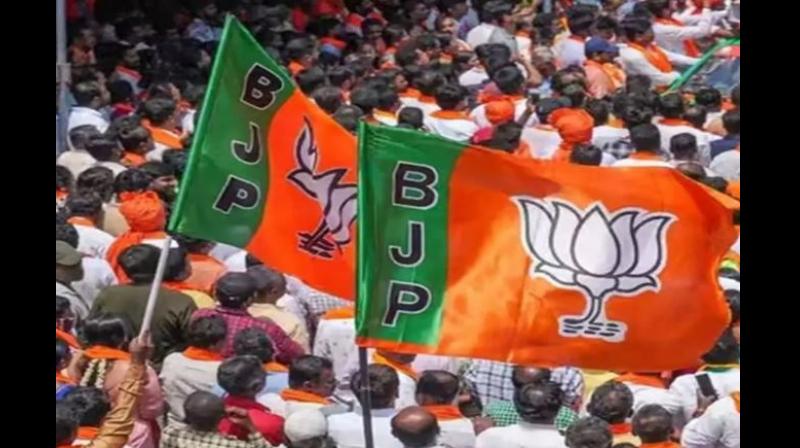 bjp 