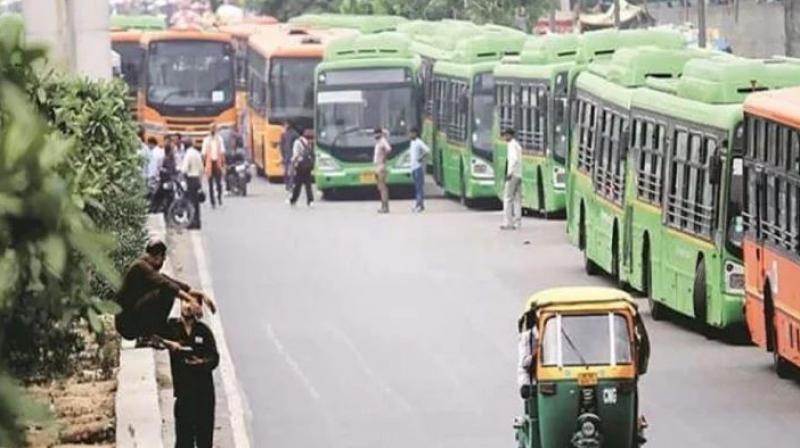 Delhi Buses