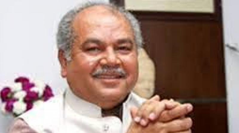 NarendraTomar NarendraTomar