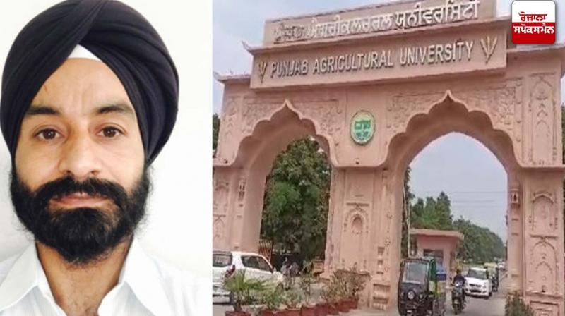 Punjab News Punjab News