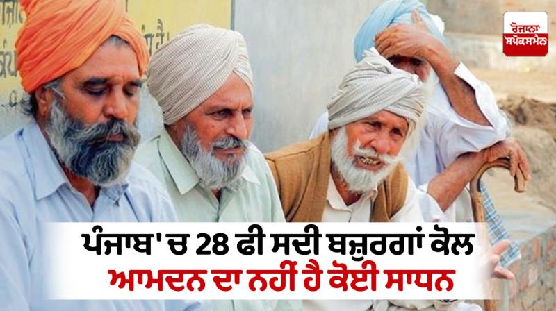 28 percent of the elderly have no means of income in Punjab News 28 percent of the elderly have no means of income in Punjab News