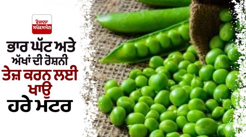 Eat green peas to lose weight and improve eyesight Eat green peas to lose weight and improve eyesight