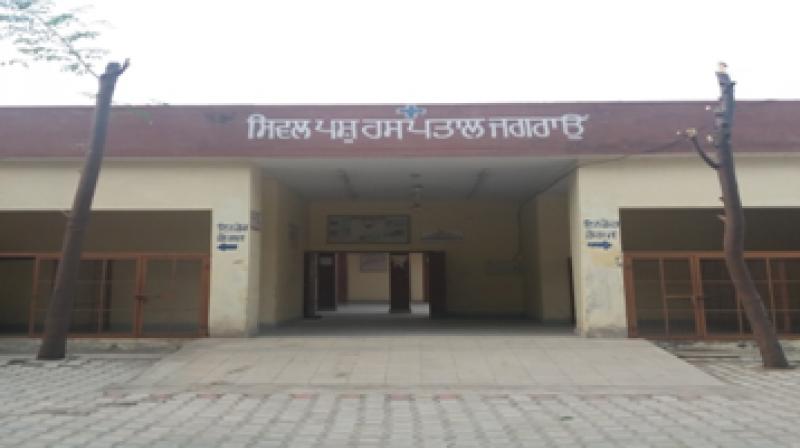 Veterinary Hospital Veterinary Hospital
