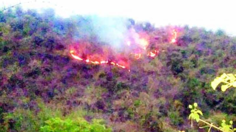 The fire started wrapping up 125 acres of forest area The fire started wrapping up 125 acres of forest area