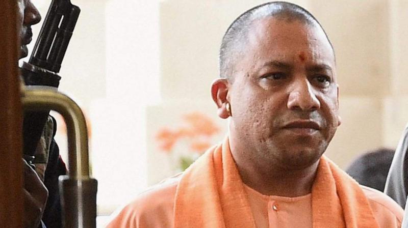 cm yogi cm yogi