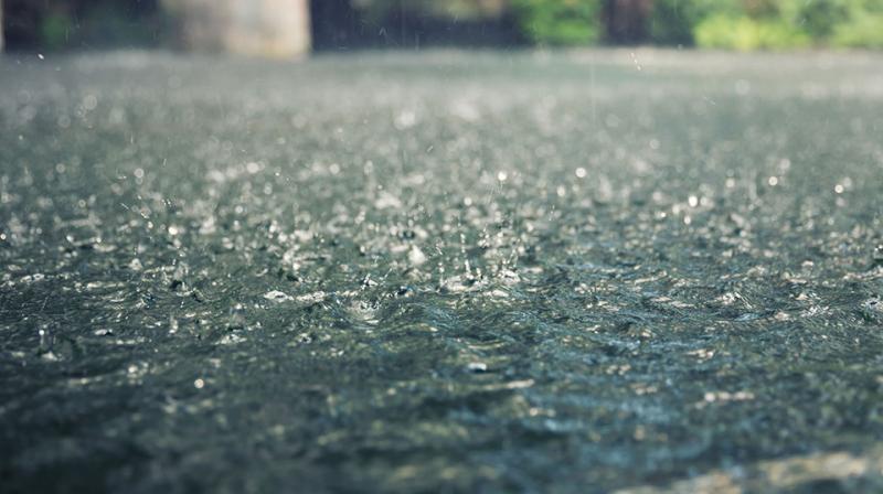 Rain Rain