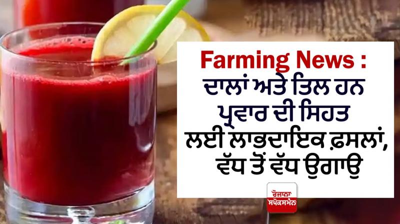 Health News in punjab