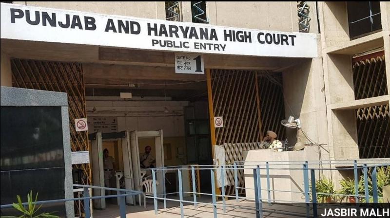 Punjab Haryana High Court Punjab Haryana High Court