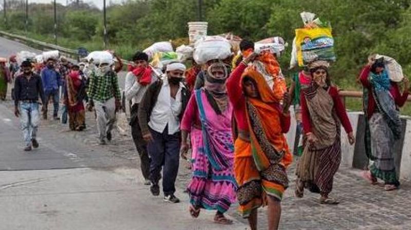 Migrant workers to get free grains and pulses nirmala sitharaman Migrant workers to get free grains and pulses nirmala sitharaman