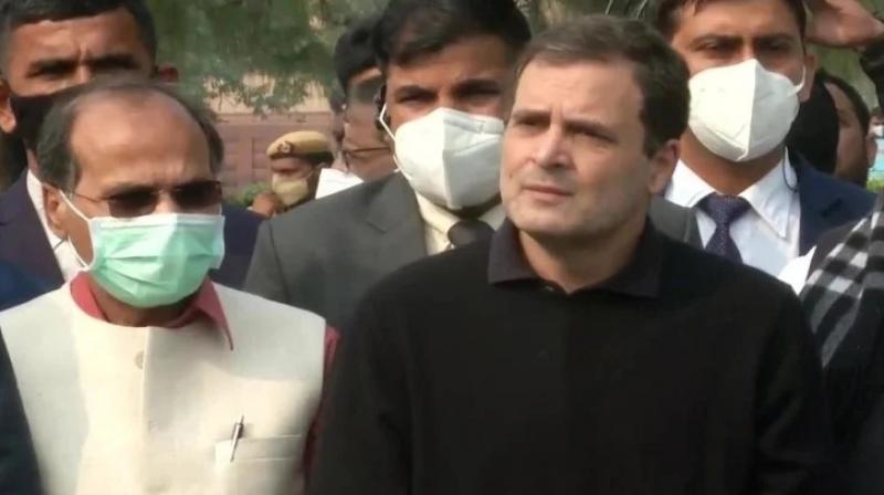 Rahul Gandhi Rahul Gandhi