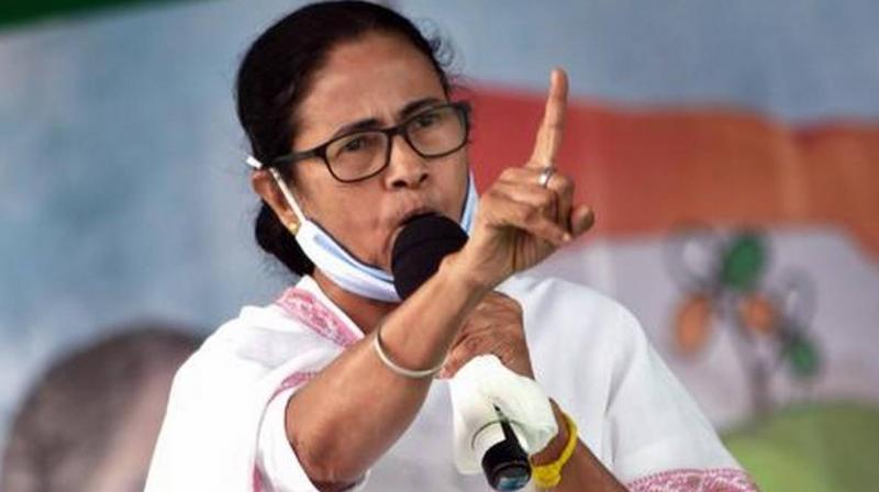 Mamta Banerjee