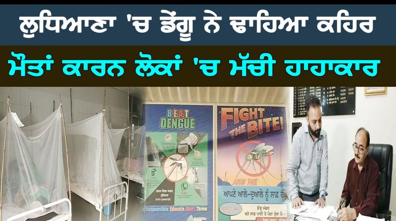 Dengue in Ludhiana