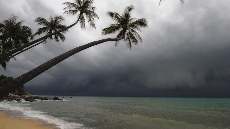 Hurricane Hurricane