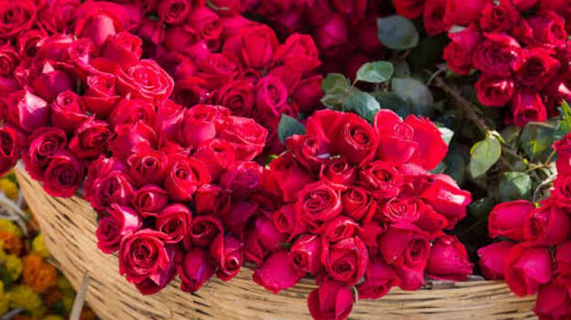 The 48th Fair of Roses in February The 48th Fair of Roses in February