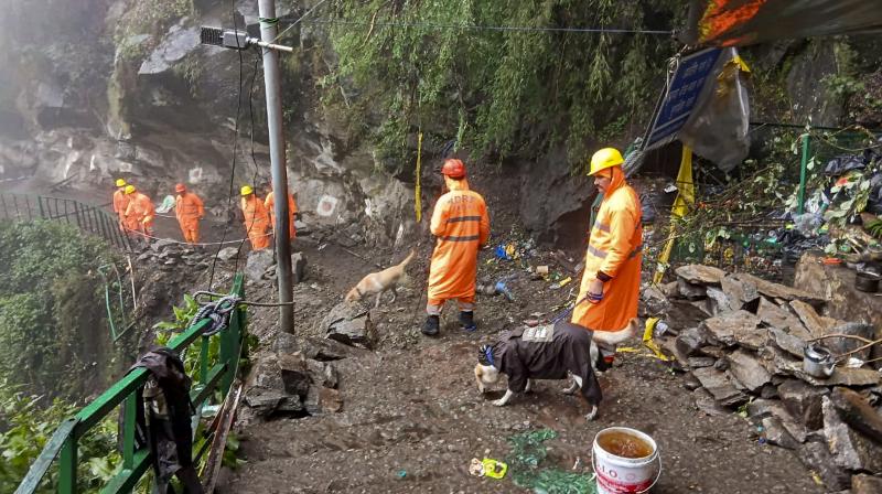Uttarakhand News Uttarakhand News
