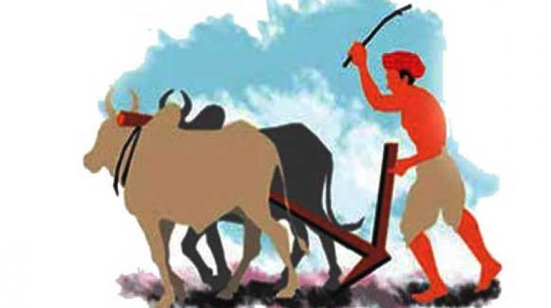 Akali Kisan Wing Akali Kisan Wing