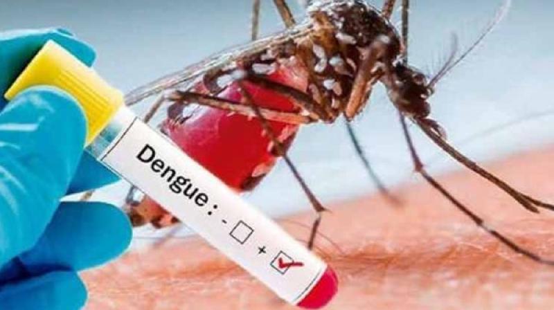 Covid 19 epidemic affects dengue prevention efforts Covid 19 epidemic affects dengue prevention efforts