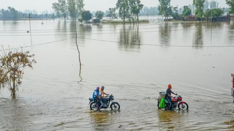 Punjab Flood Punjab Flood