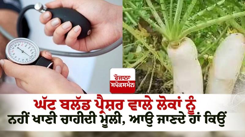 People with low blood pressure should not eat radish news in punjabi 