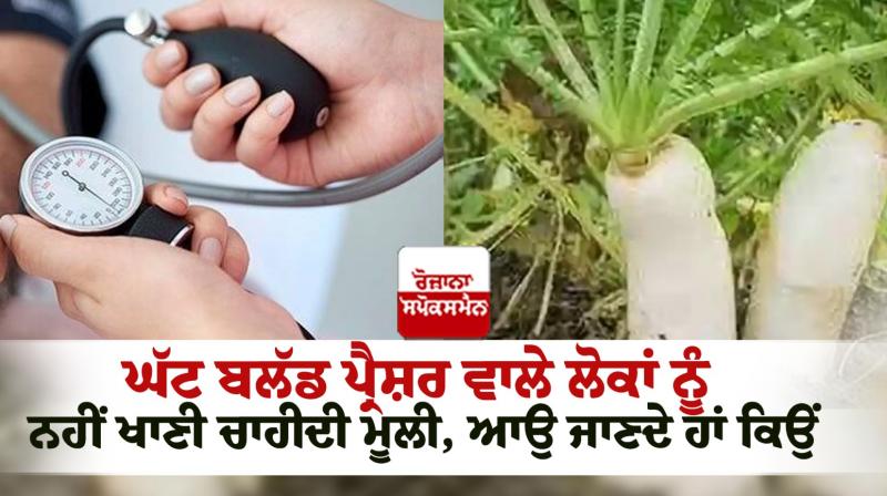 People with low blood pressure should not eat radish news in punjabi People with low blood pressure should not eat radish news in punjabi