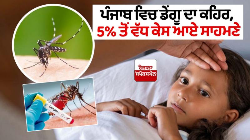 Dengue rage in Punjab, more than 5% cases have come to light