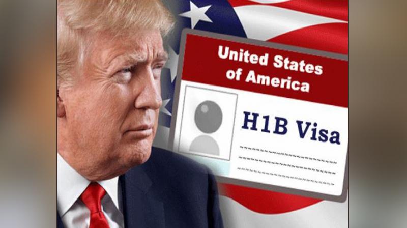 Donald Trump and H1-B visas Donald Trump and H1-B visas