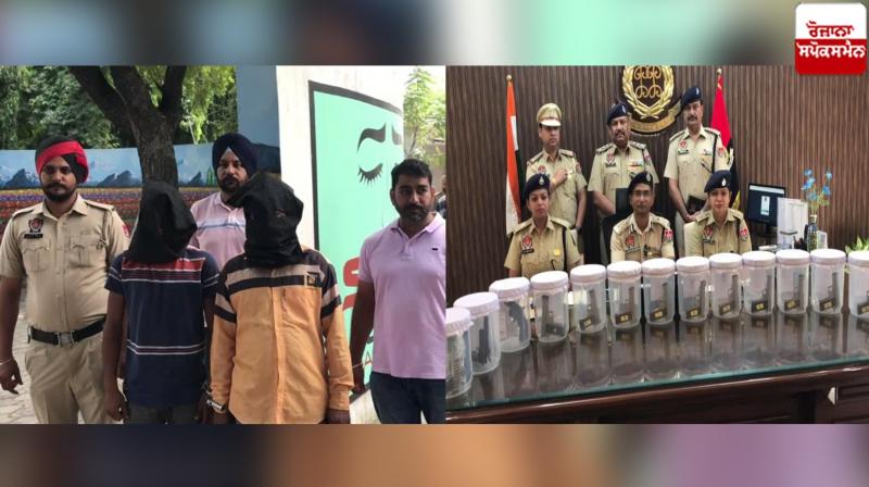 Three Arrested With 13 Pistol by khanna police