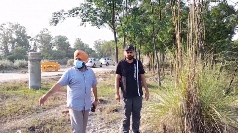 Forest department and tree keepers face to face over tree care Forest department and tree keepers face to face over tree care