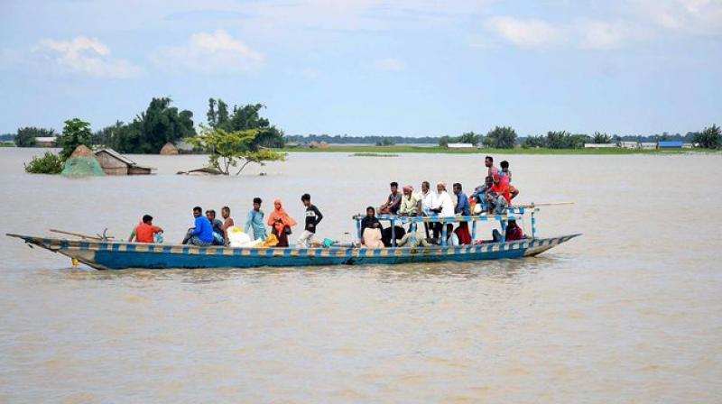 Assam Flood News in punjabi Assam Flood News in punjabi