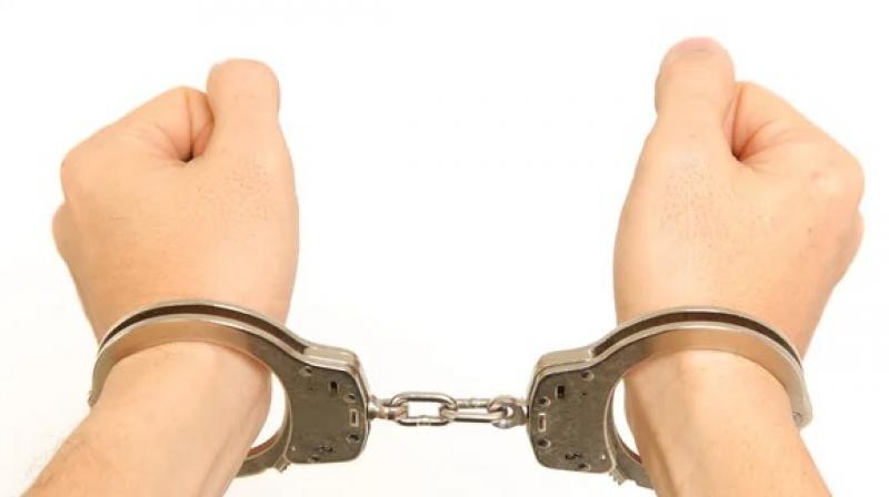 Shimla police arrested 25 youths News in punjabi Shimla police arrested 25 youths News in punjabi