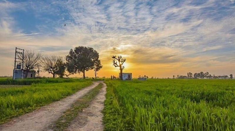 punjab weather Update News in punjabi punjab weather Update News in punjabi