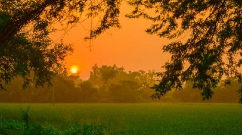 Punjab Weather Update