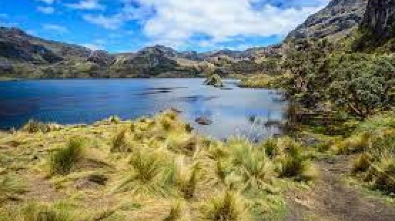 Cajas Cajas