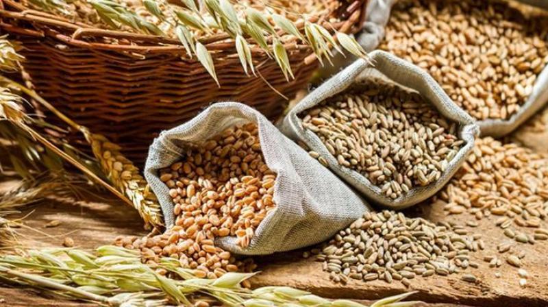 Central Government reprimands Punjab over food distribution Central Government reprimands Punjab over food distribution