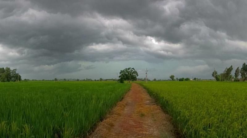Chance of rain in 5 districts of Punjab, temperature increased in many cities Chance of rain in 5 districts of Punjab, temperature increased in many cities